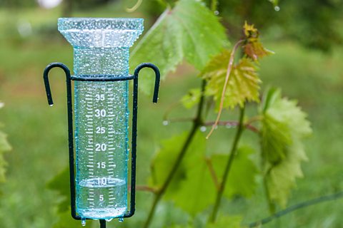 A rainfall gauge.