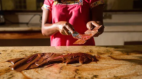 Cannon Photography LLC/Alamy In Belize, a growing number of tour operators and cacao farms offer chocolate experiences (Credit: Cannon Photography LLC/Alamy)