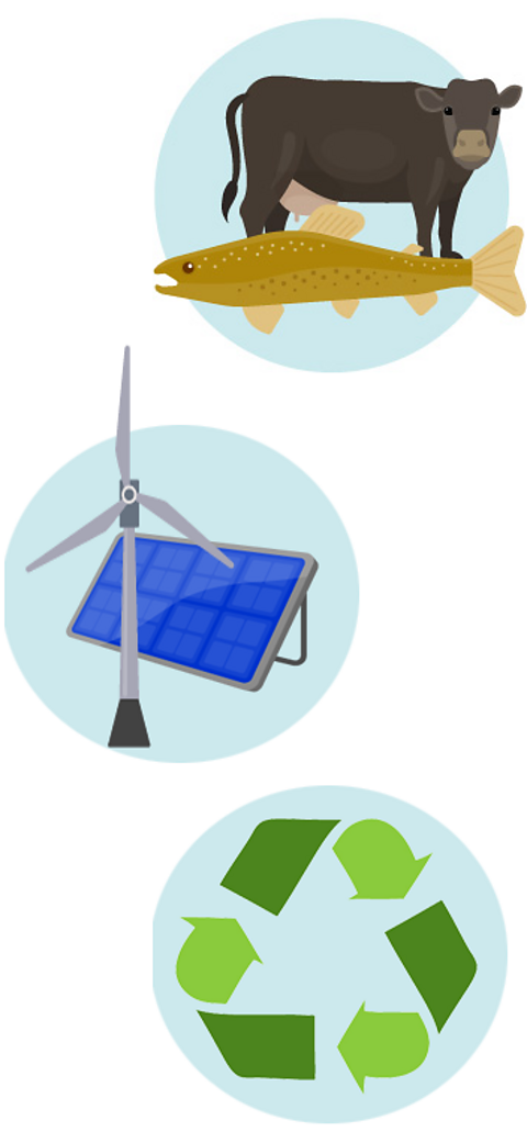 An illustration showing renewable energy sources, recycling and beef and fish consumption