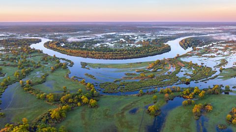 Aerial photograph of a floodplain of the River Pripyat.