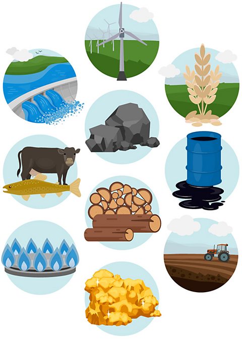 Different types of natural resources.