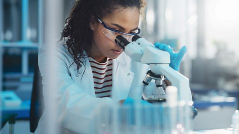 A scientist looking through a microscope. 