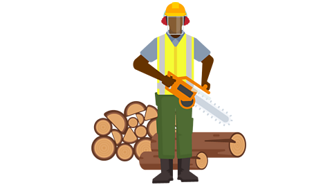 A lumberjack