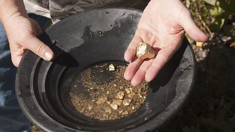 Gold panning