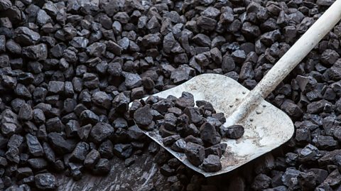 Coal on a shovel.