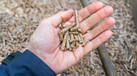 A hand holding wood pellets. 