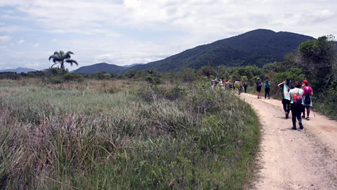 Catherine Balston Inspired by the Caminho de Peabiru, Flávio Santos' 25km route passes through the Serra do Tabuleiro national park (Credit: Catherine Balston)