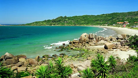 Flavio Santos Santa Catarina is believed to be one of the Caminho de Peabiru's three starting points (Credit: Flavio Santos)