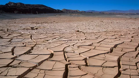 BrazilPhotos/Alamy As well as providing emergency assistance in times of crisis, humanitarian organisations can help people to adapt to drought over the longer term (Credit: BrazilPhotos/Alamy)