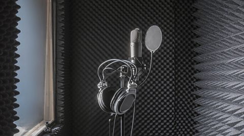 An image of a microphone in a room with soft spikes on the walls.