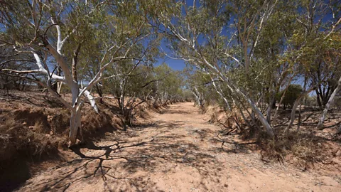 Anthony Ham The end of the road trip takes you over dry riverbeds and through desert country (Credit: Anthony Ham)