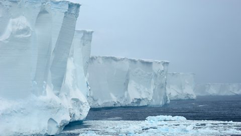 Icebergs - BBC News