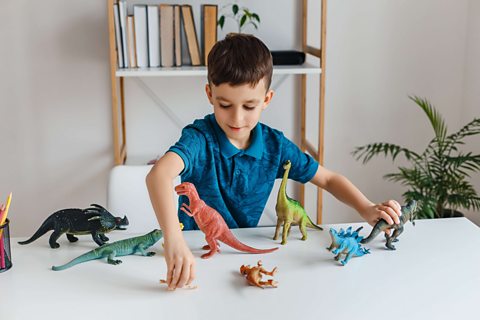 Boy plays with dinosaur toys.