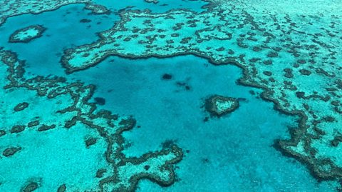 An aerial photograph of the Great Barrier Reef. 