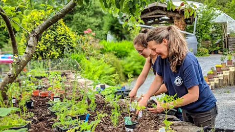 Centre for Alternative Technology "The respect for stewarding the land is inherent in Welsh society and culture," said Rowland (Credit: Centre for Alternative Technology)