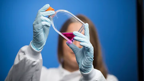 Getty Images Many scientists spend a lot of time on administration, rather than doing science - should we seek to change that? (Credit: Getty Images)