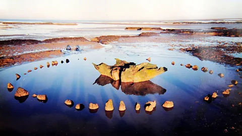 Wendy George A timber circle surrounding an upturned tree root, Seahenge was rediscovered in 1998 due to shifting sands (Credit: Wendy George)