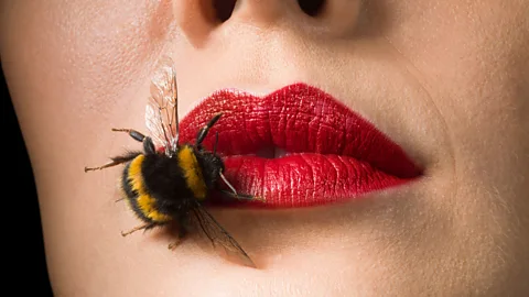 Getty Images (Credit: Getty Images)