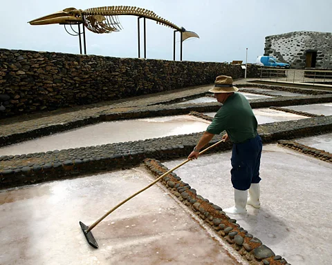 Samuel Aranda/AFP/Getty Images The technology changes, if effective, could bring an end to whale strandings (Credit: Samuel Aranda/AFP/Getty Images)