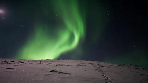 Lola Akinmade Åkerström Rosen: "Seeing how people express their feelings after seeing the lights makes me feel I have the best job in the world" (Credit: Lola Akinmade Åkerström)