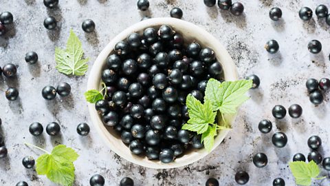 a bowl of blackcurrants 