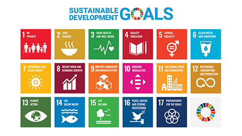 The UN Sustainable Development Goals