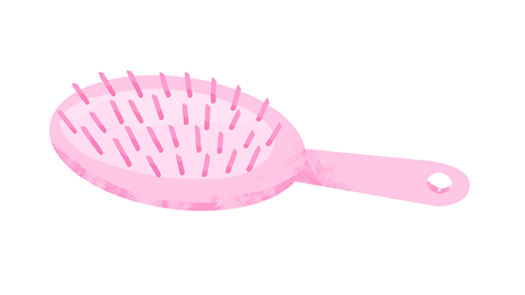 A hairbrush