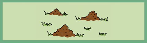 3 cartoon molehills on a green background