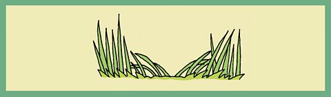 A cartoon grass track on a yellow background