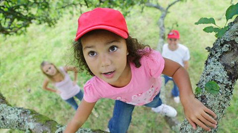 A little girl climbing a tree while her parents watch