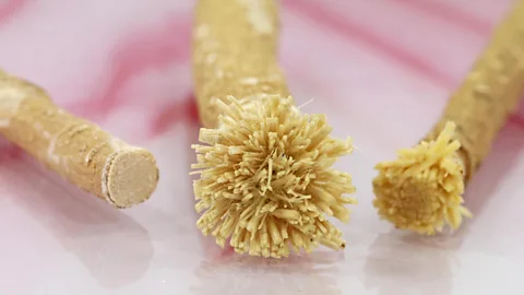 Alamy The miswak, from trees such as Salvadora persica, have been used for millennia to help keep teeth clean (Credit: Alamy)
