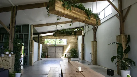 Amanda Ruggeri/BBC The barn has been redesigned into a spare, modern space with soaring ceilings, hanging plants and an open kitchen (Credit: Amanda Ruggeri/BBC)