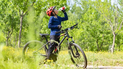 A cyclist drinks from a water bottle.