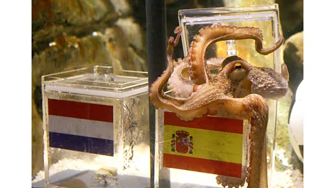 Otto the Octopus is an intelligent invertebrate who confounded humans