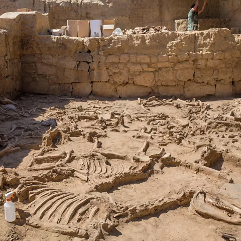 Alamy/ WHPics Casas de Turuñuelo is the site of the largest animal sacrifice in the area – more than 50 animals (Credit: Alamy/ WHPics)