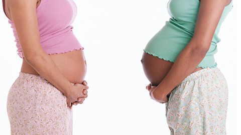 Two pregnant women's bellies of different shapes.