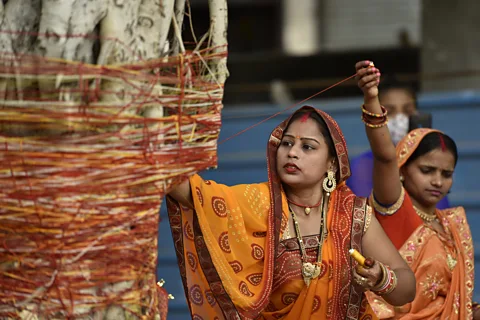 Getty Images Many communities in India worship forests and trees and forbid logging in sacred groves (Credit: Getty Images)