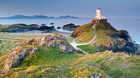 A photo of a white lighthouse sat atop a grassy mound, with stone steps leading up to it. There are wildflowers and rocks amongst the grass, and the sea further in the background.