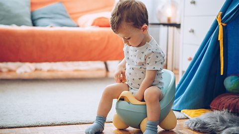 A little boy looking down as he's sat on a potty.