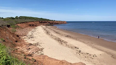 Carolyn B Heller PEI's red clay cliffs plunge into the sea (Credit: Carolyn B Heller)