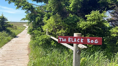 Carolyn B Heller The Island Walk encourages people to explore PEI at a slower pace (Credit: Carolyn B Heller)