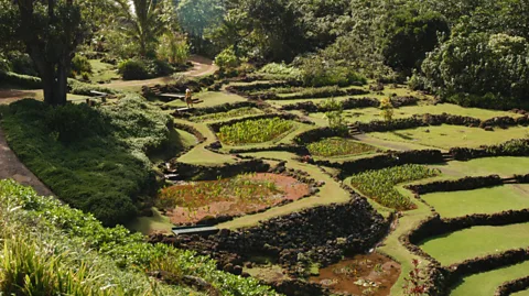Hawaii's ancient land management system