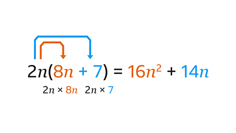 Two n open bracket eight n plus seven close bracket equals sixteen n squared plus fourteen n. An arrow points from two n to eight n – this is highlighted orange. Another arrow points from two n to plus seven – this is highlighted blue. Underneath eight n is the equation two n multiplied by eight n. Underneath plus seven is the equation two n multiplied by seven. To the right of the equals sign, sixteen n squared is highlighted orange. Fourteen n is highlighted blue.