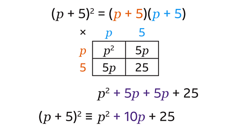 Open bracket p plus five close bracket squared equals open bracket p plus five close bracket open bracket p plus five. The first p plus five is highlighted orange, the second p plus five is highlighted blue. Underneath, a two by two grid with p on the top of the first column and five on the top of the second column – these are highlighted blue. P is to the left of the first row and five is to the left of the second row – these are highlighted orange. There is a multiplication symbol to the top left near the grid. P squared is in the grid space on the first column and first row of the grid. Five p is in the grid space on the second column and first row of the grid. Five p is in the grid space on the first column and second row of the grid. Twenty five is on the grid space of the second column and second row of the grid.  Underneath is the equation, p squared plus five p plus five p plus twenty five. The plus five p plus five p is highlighted purple. Underneath is the equation open bracket p plus five close bracket squared is identical to p squared plus ten p plus twenty five. The plus ten p is highlighted purple. 