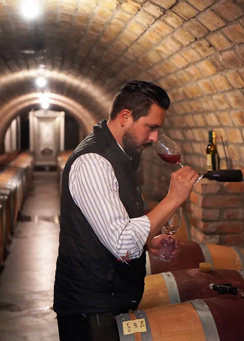 Clarissa Wei Joe Roman estimates that 90% of Arilds Vingård's grapes are of the Solaris variety (Credit: Clarissa Wei)