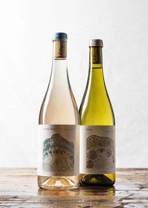 Joel Nilsson Långmyre Vineri makes sustainable wines like Come May rosé and Pinta white (Credit: Joel Nilsson)