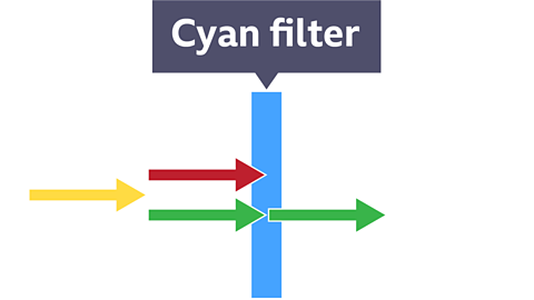 A image of a cyan filter red and green light rays travelling towards filter. The green light ray is transmitted and passes through the filter, but the red ray is absorbed in the filter.  