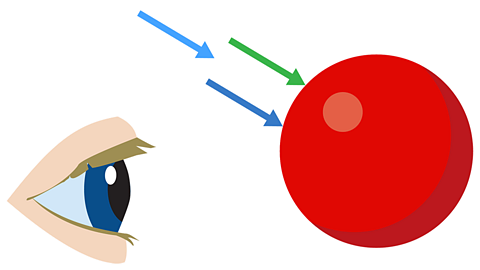 Blue and green light rays travelling towards red surface. Both rays are absorbed in the filter.