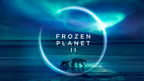 Watch again: Frozen Planet II - Science Live Lesson