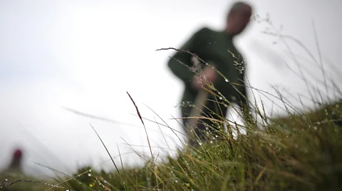 Getty Images The bogs of Northern Europe can be deceiving, dangerous spaces, halfway between water and solid ground (Credit: Getty Images)